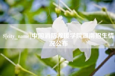 咸阳中国消防救援学院湖南招生情况公布