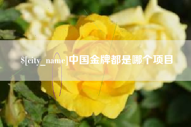 咸阳中国金牌都是哪个项目