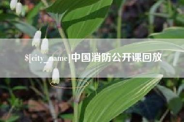 咸阳中国消防公开课回放
