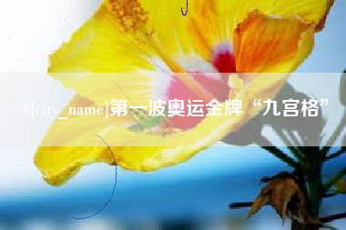 咸阳第一波奥运金牌“九宫格”