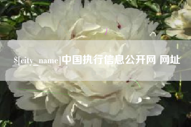 咸阳中国执行信息公开网 网址