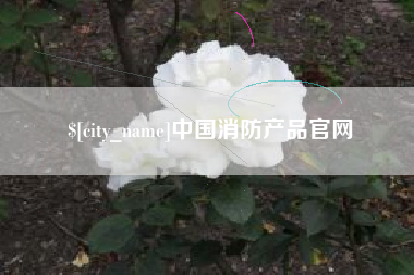 咸阳中国消防产品官网
