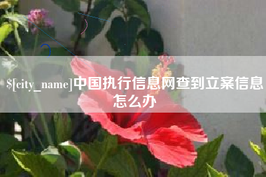 咸阳中国执行信息网查到立案信息怎么办