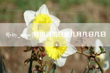 咸阳我国消防日是几月几日几日