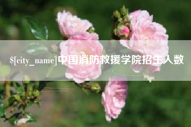 咸阳中国消防救援学院招生人数