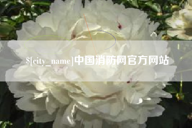 咸阳中国消防网官方网站