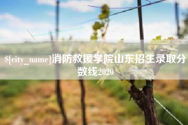 咸阳消防救援学院山东招生录取分数线2020