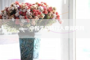 咸阳中国失信执行人查询官网