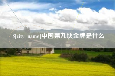 咸阳中国第九块金牌是什么