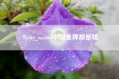 咸阳中国金牌都是啥