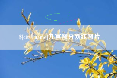 咸阳九宫图分割线图片