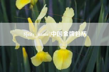 咸阳中国金牌包括