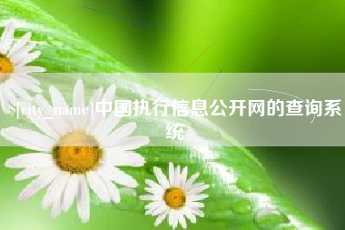 咸阳中国执行信息公开网的查询系统