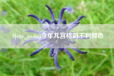 咸阳今年九宫格的不利颜色