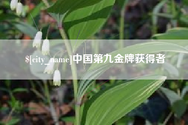 咸阳中国第九金牌获得者