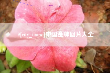 咸阳中国金牌图片大全