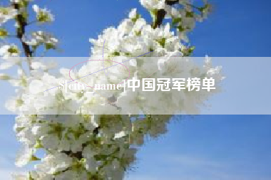 咸阳中国冠军榜单