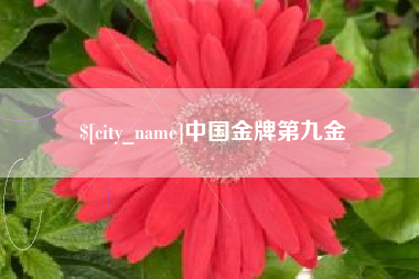 咸阳中国金牌第九金