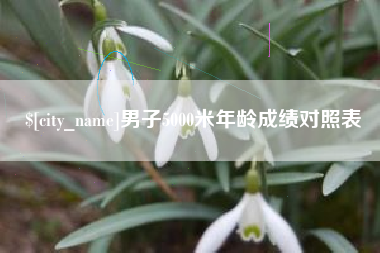 咸阳男子5000米年龄成绩对照表
