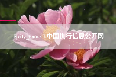 咸阳1.中国执行信息公开网