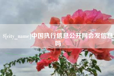咸阳中国执行信息公开网会发信息吗