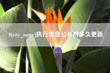 咸阳执行信息公开网多久更新
