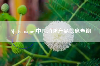咸阳中国消防产品信息查询