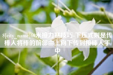 咸阳60米接力赛技巧-下压式则是传棒人将棒的前部由上向下传到接棒人手中