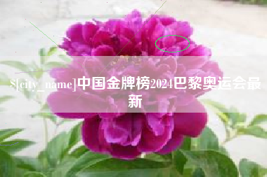 咸阳中国金牌榜2024巴黎奥运会最新