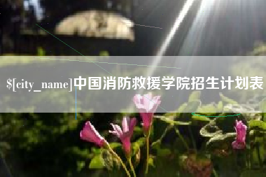 咸阳中国消防救援学院招生计划表