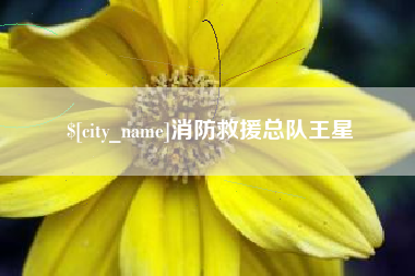 咸阳消防救援总队王星