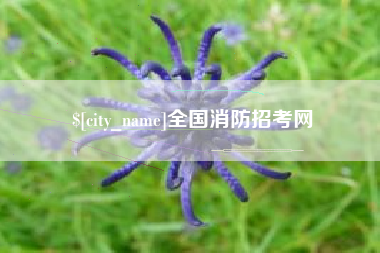 咸阳全国消防招考网
