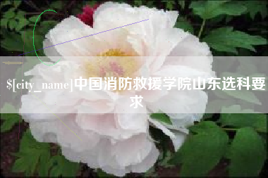 咸阳中国消防救援学院山东选科要求