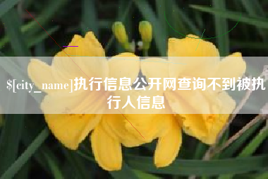 咸阳执行信息公开网查询不到被执行人信息
