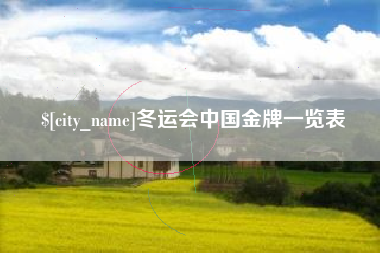 咸阳冬运会中国金牌一览表