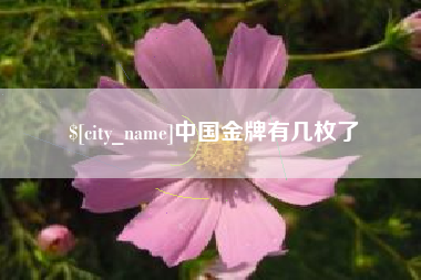 咸阳中国金牌有几枚了