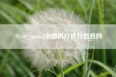 咸阳中国执行执行信息网