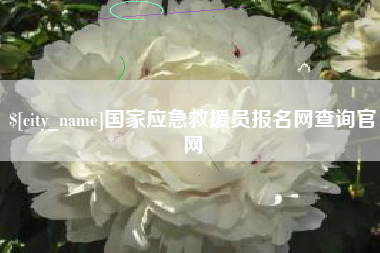 咸阳国家应急救援员报名网查询官网