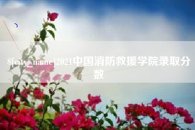 咸阳2021中国消防救援学院录取分数