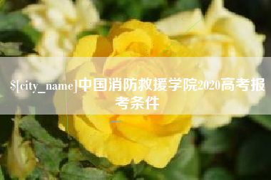 咸阳中国消防救援学院2020高考报考条件