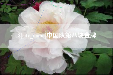 咸阳中国队第八块金牌