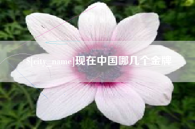 咸阳现在中国哪几个金牌