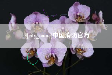 咸阳中国消防官方
