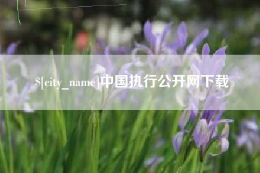 咸阳中国执行公开网下载