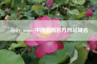 咸阳中国消防官方网站域名