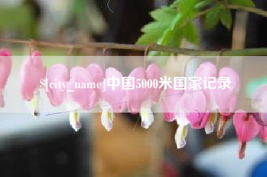 咸阳中国5000米国家记录