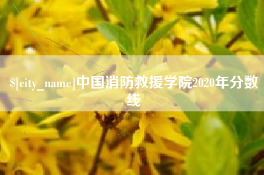 咸阳中国消防救援学院2020年分数线