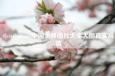 咸阳中国金牌图片大全大图真实高清