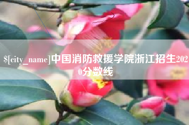 咸阳中国消防救援学院浙江招生2020分数线