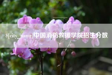 咸阳中国消防救援学院招生分数